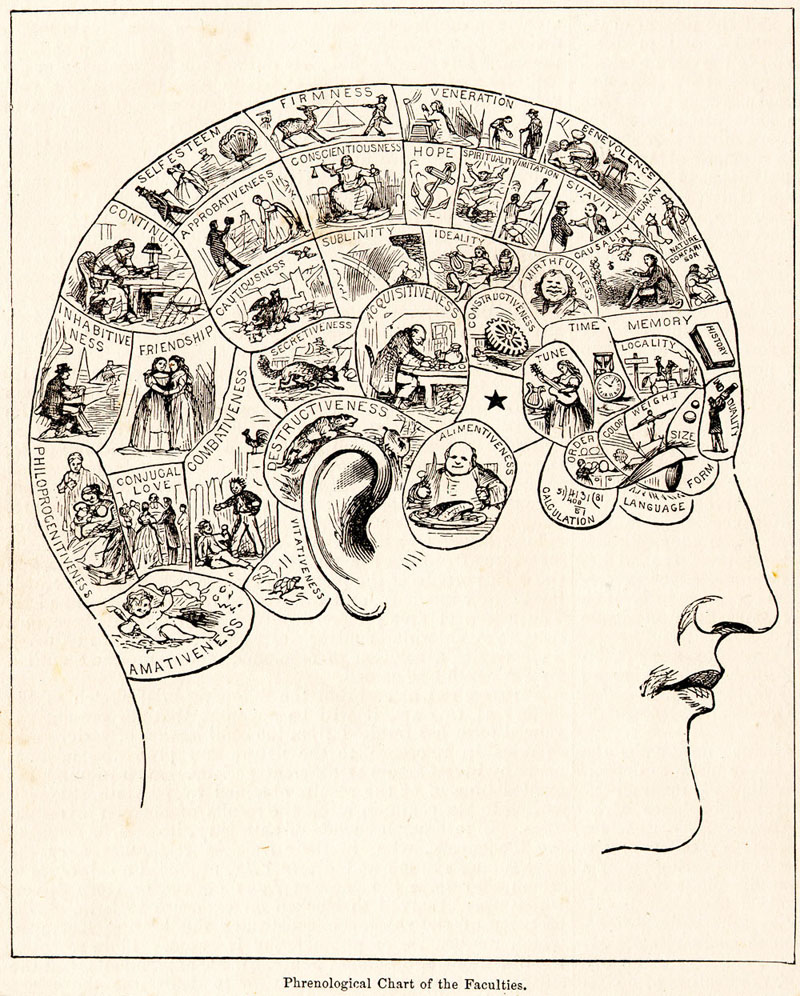 Empirical cycle according to A.D. de Groot