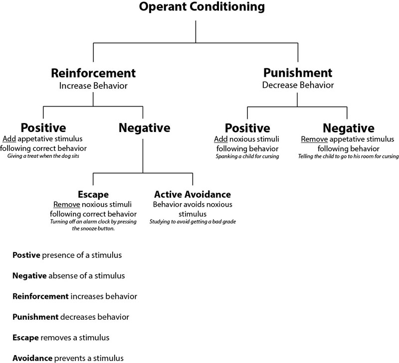 bf skinner conditioning