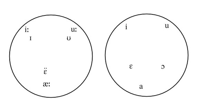 implified chart / decision tree to determine whether two sounds which occur in the words of a language are allophones of the same phoneme, separate phonemes, or in free variation. For explanations of terms and procedures, see articles Allophone, Complementary distribution, Minimal pair, Free variation, and Phoneme.

The classic example of sounds which are in complementary distribution in a language, but which are not usually considered to be allophones of the same phoneme due to phonetic dissimilarity, is the sounds [h] and [?] in English.