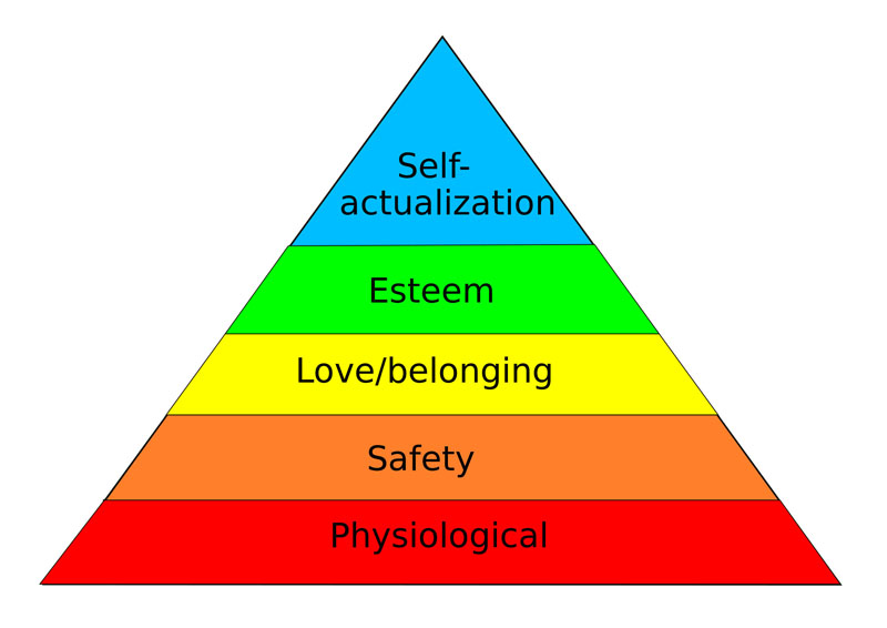 SDT identifies three innate needs that, if satisfied, allow optimal function and growth.