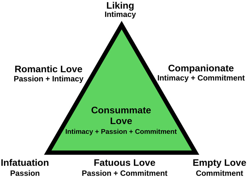 Image shows the 3 properties of love and how it creates the 7 different loves according to theory.