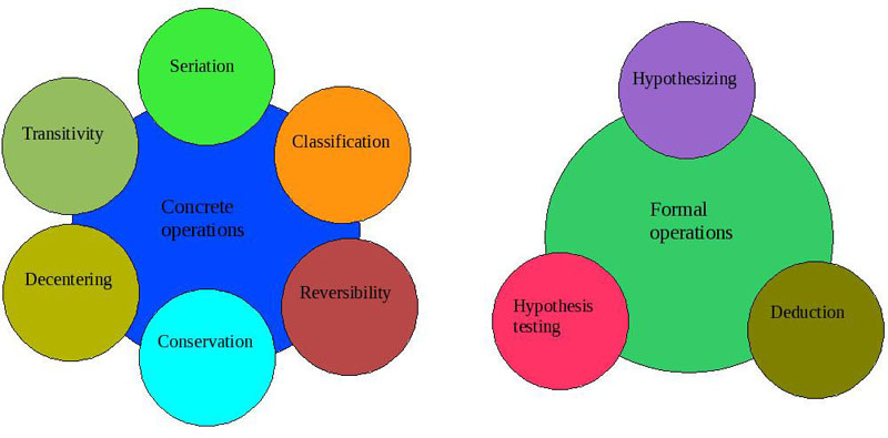 Mental operations according to Jean Piaget.