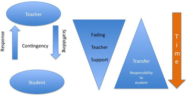 Cycle of Scaffolding