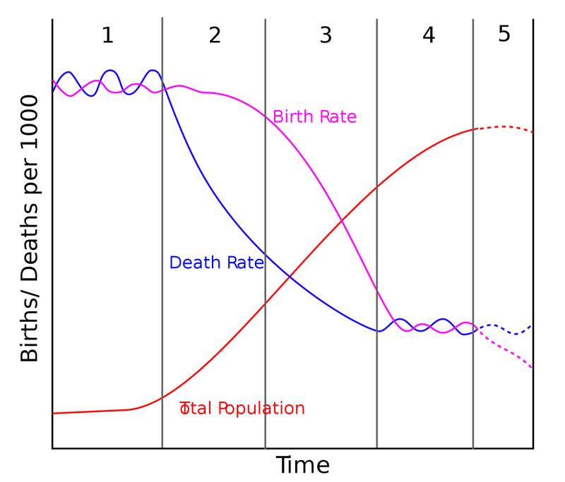 A plot of the demographic transition model, including stage 5