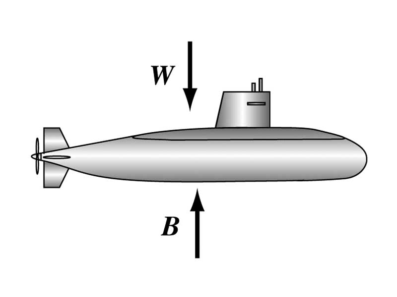 Force equilibrium of weight of submarine and buoyant force.