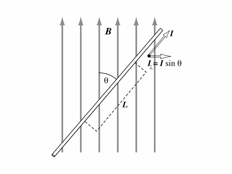 Current carrying wire at an angle to a magnetic field
