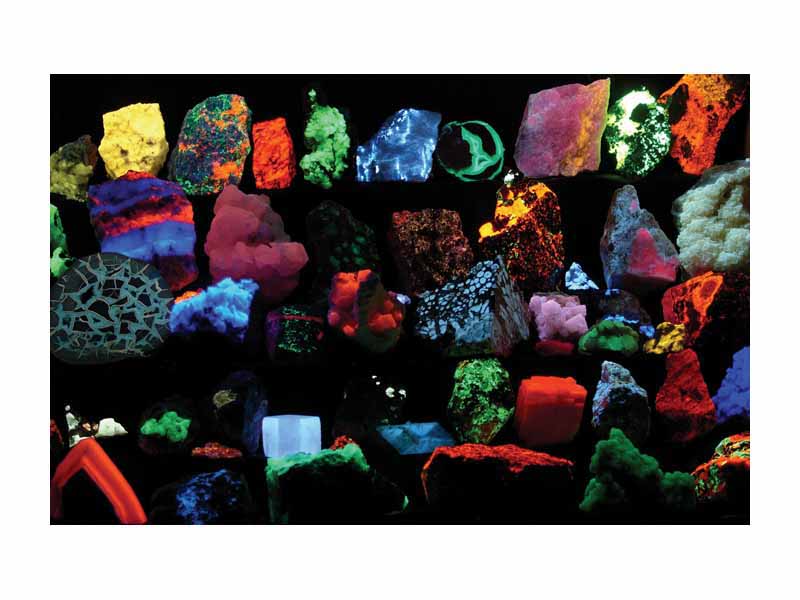 A collection of mineral samples brilliantly fluorescing at various wavelengths as seen while being irradiated by UV light.