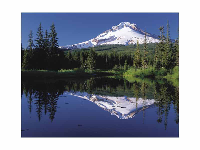 The reflection of Mount Hood in Trillium Lake.