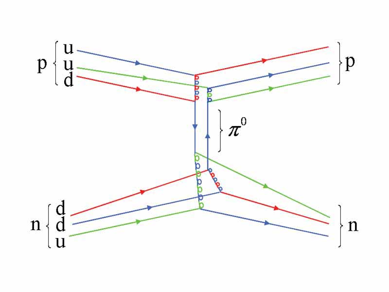 A Feynman diagram of a strong proton-neutron interaction mediated by a neutral pion with the individual quark constituents shown, to illustrate how the fundamental strong interaction gives rise to the nuclear force. Straight lines are quarks, while multi-colored loops are gluons (the carriers of the fundamental force). Other gluons, which bind together the proton, neutron, and pion in-flight, are not shown.