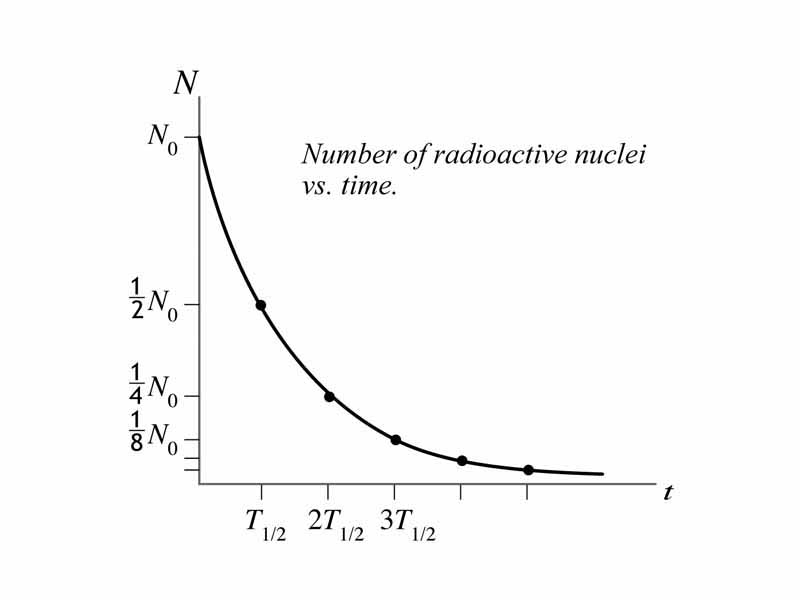 Number of radioactive nuclei versus time
