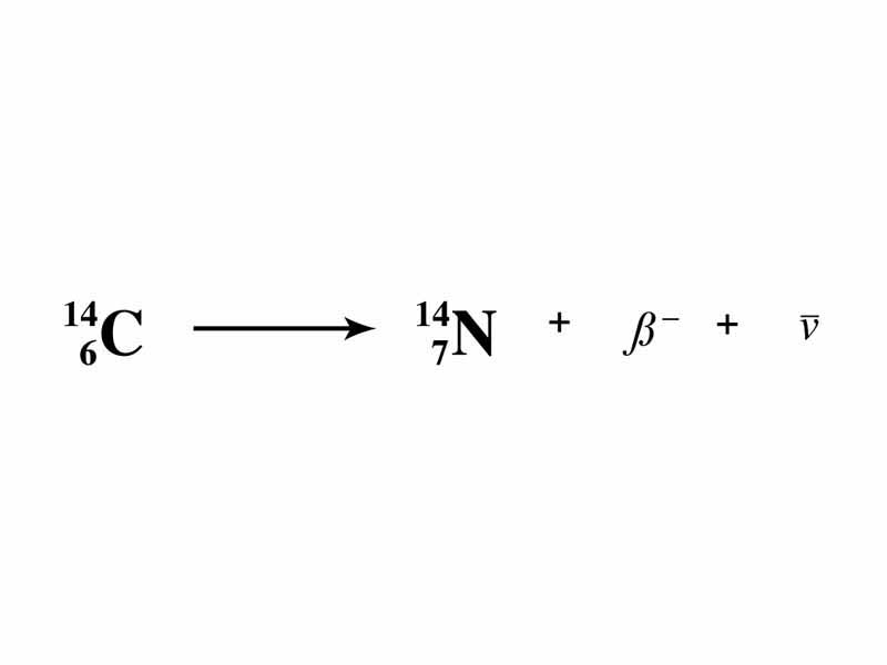 Beta decay reaction of carbon 14