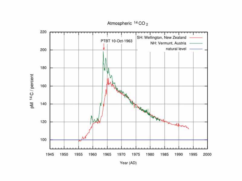 Atmospheric 14C, New Zealand[5] and Austria[1]. The New Zealand curve is representative for the Southern Hemisphere, the Austrian curve is representative for the Northern Hemisphere. Atmospheric nuclear weapon tests almost doubled the concentration of 14C in the Northern Hemisphere