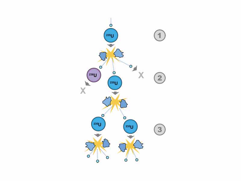 A schematic nuclear fission chain reaction. 1. A uranium-235 atom absorbs a neutron and fissions into two new atoms (fission fragments), releasing three new neutrons and some binding energy. 2. One of those neutrons is absorbed by an atom of uranium-238 and does not continue the reaction. Another neutron is simply lost and does not collide with anything, also not continuing the reaction. However one neutron does collide with an atom of uranium-235, which then fissions and releases two neutrons and some binding energy. 3. Both of those neutrons collide with uranium-235 atoms, each of which fissions and releases between one and three neutrons, which can then continue the reaction.