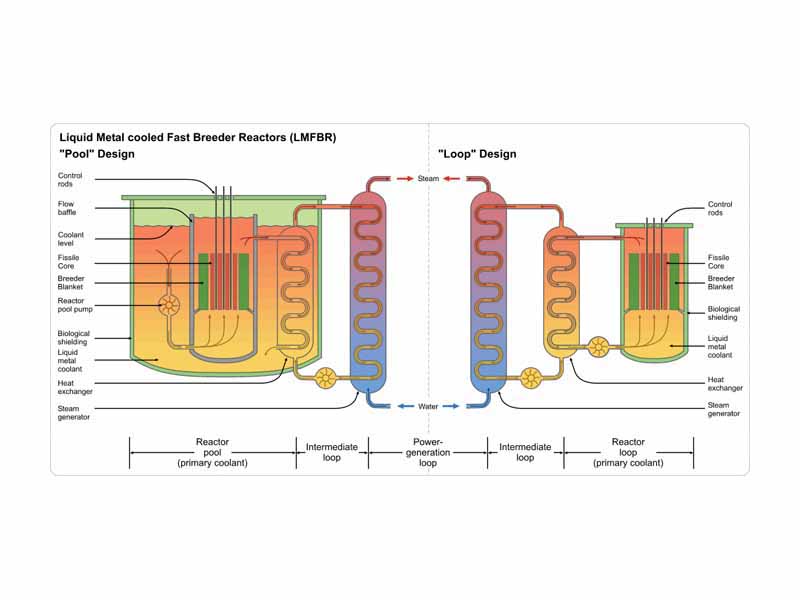 Schematic diagram showing the difference between the Loop and Pool types of LMFBR.