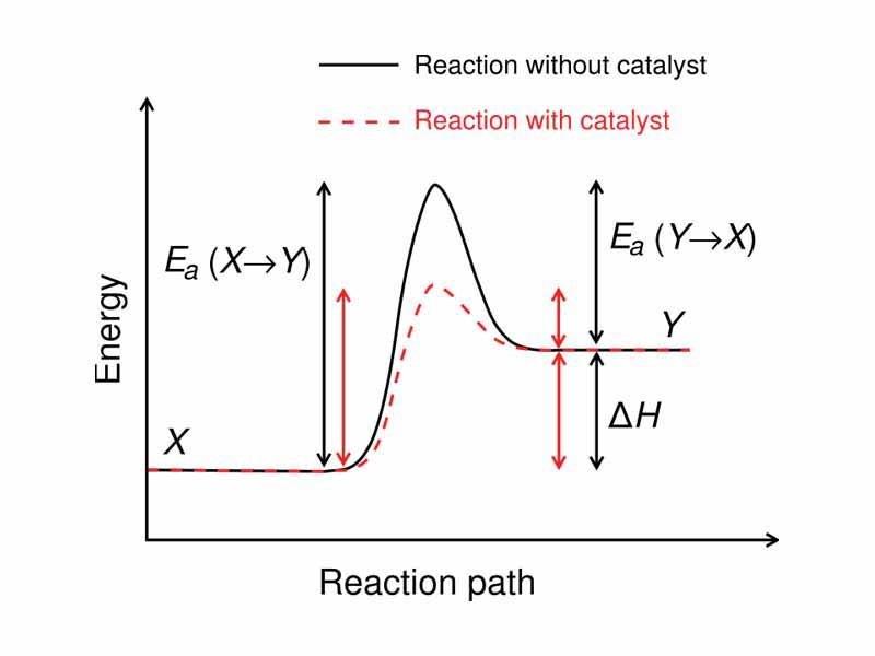 Illustration of change in activation energy caused by a catalyst. Made by me in Inkscape by tracing the original image by Vinay.bhat, who holds the copyright but has released all rights.