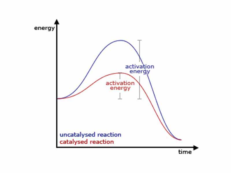 Generic graph showing the effect of a catalyst in a chemical reaction.