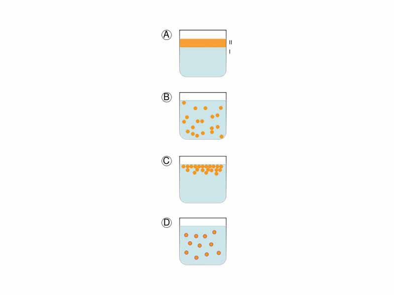 A. Two immiscible liquids, not emulsified  B. Emulsion of Phase II dispersed in Phase I  C. The unstable emulsion progressively separates  D. Surfactant positions itself on interface between Phases I and II, stabilizing emulsion