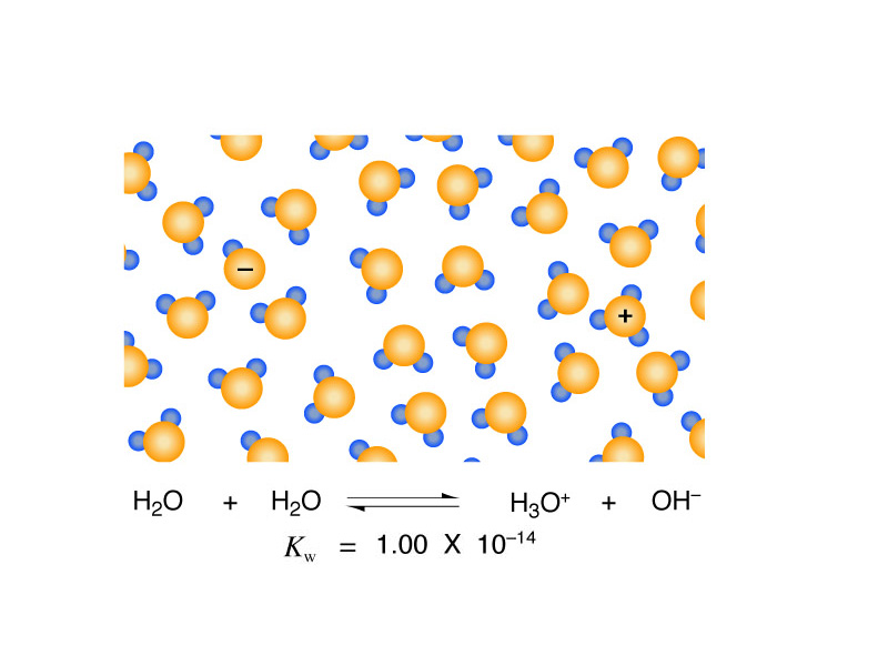 Hydronium and hydroxide in solution.