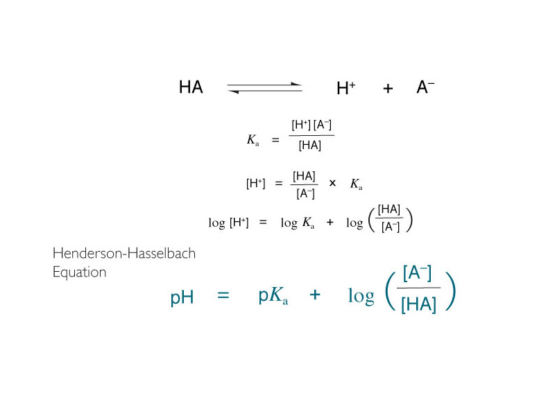 The Henderson-Hasselbach equation.
