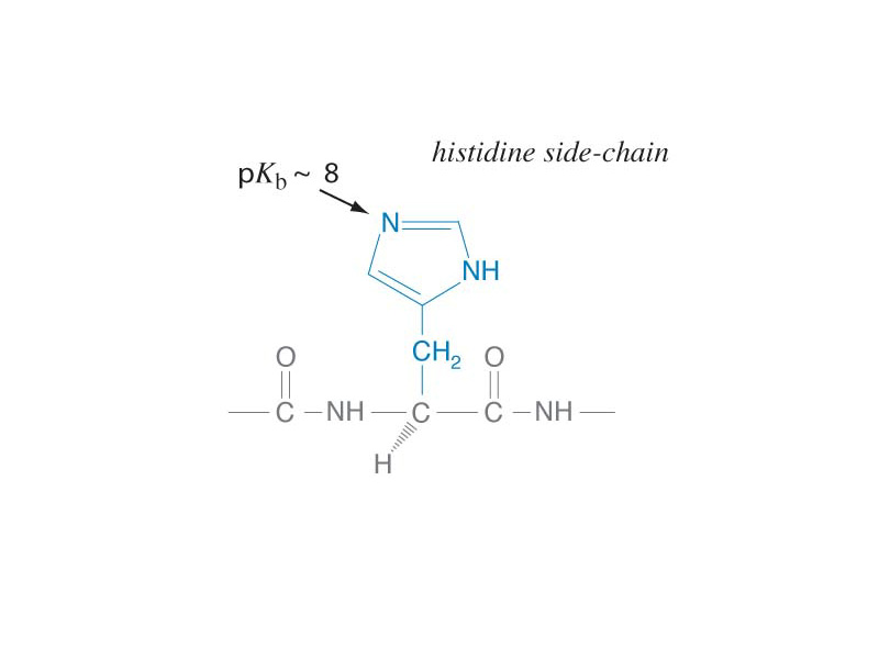 Histidine side chain.