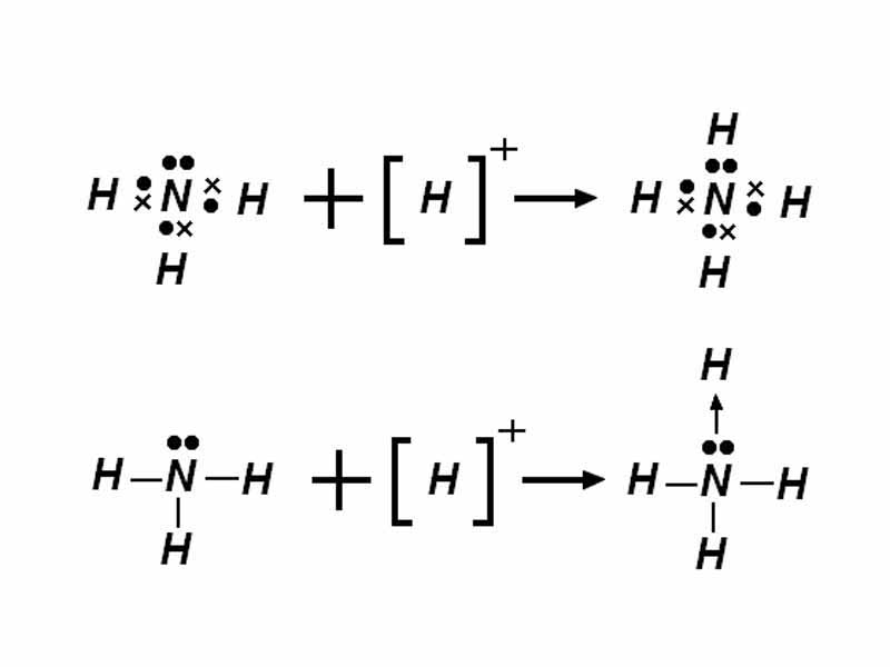 An example of coordinate covalent bonding in the ammonium ion