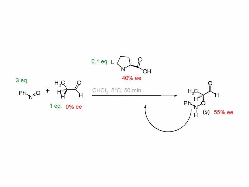 Amplification of Enantiomeric Excess in a Proline-Mediated Reaction