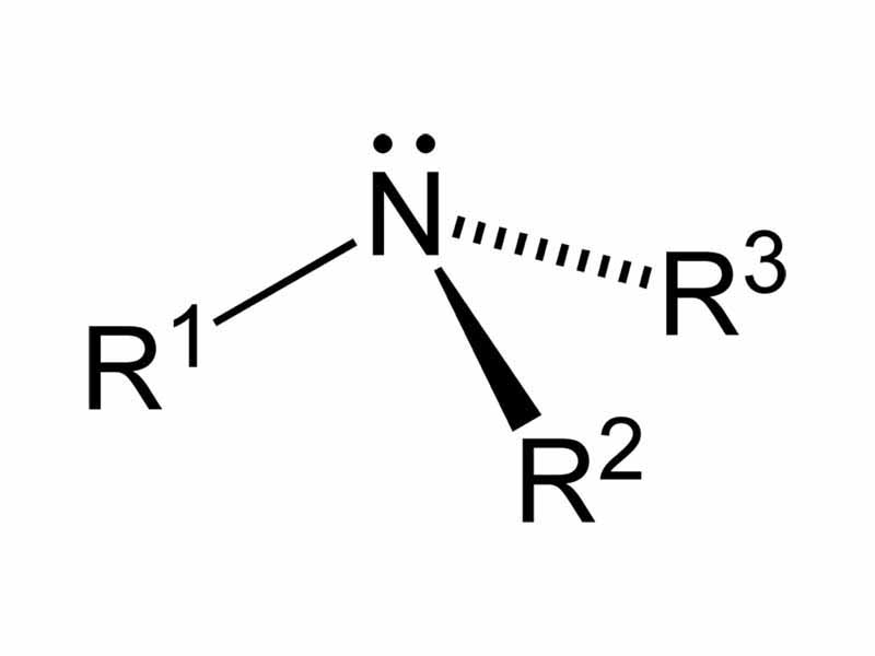 General structure of an amine