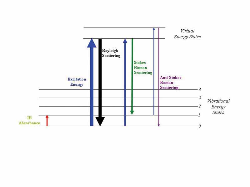 Energy level diagram showing the states involved in Raman signal. The line thickness is roughly proportional to the signal strength from the different transitions.