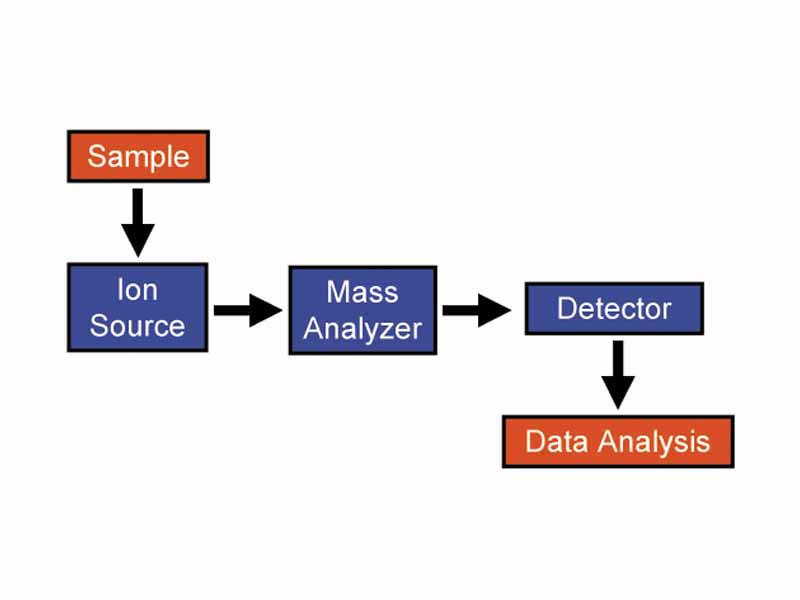  Diagram of the main components of a mass spectrometer.