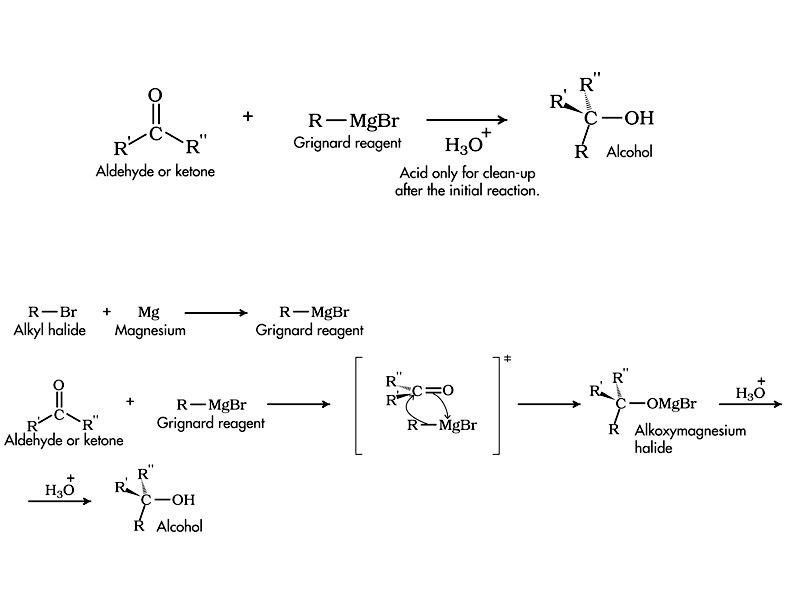 Reaction of Grignard Reagents with Aldehydes and Ketones
 