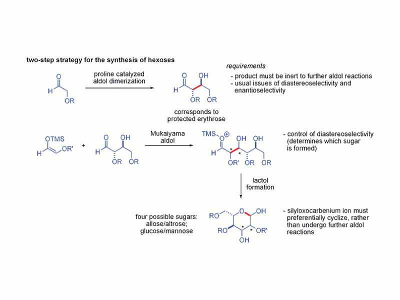 macmillan strategy schematic stereocontrol of aldol reaction for sugar synthesis