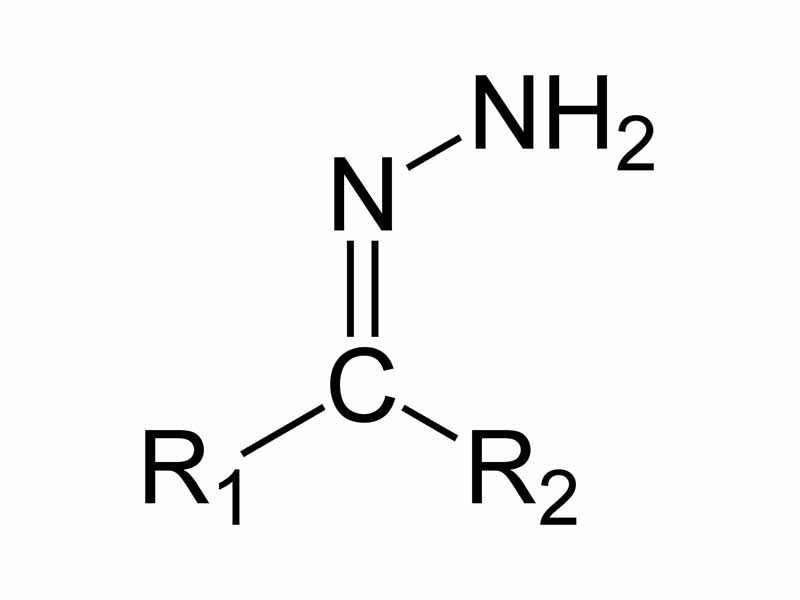 Structure of the hydrazone functional group