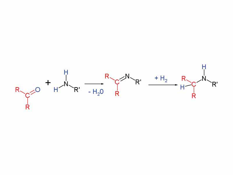 Reductive amination Overview