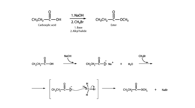 Carboxylate nucleophile.
 