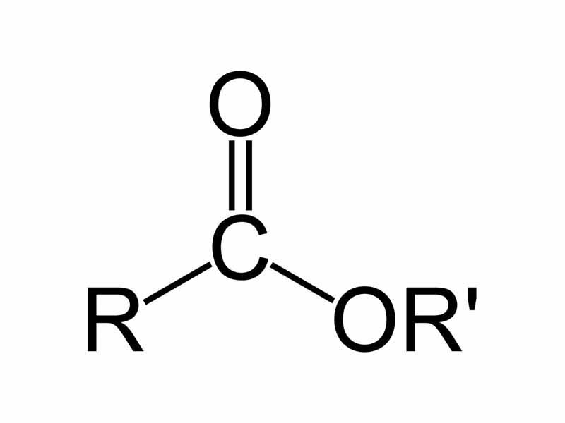 A carboxylic acid ester. R and R' denote any alkyl or aryl group