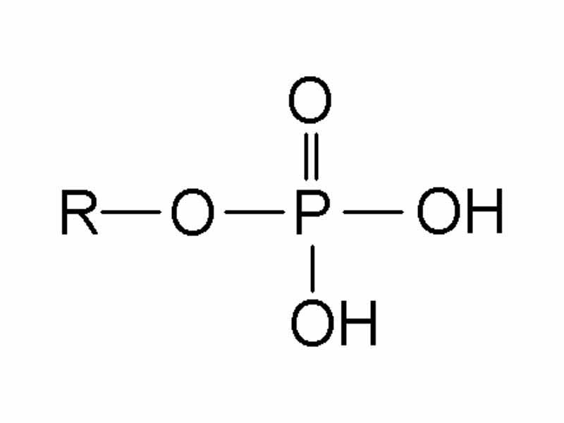 A phosphoric acid ester