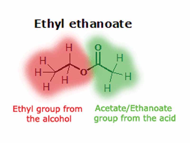 An ester is named according to the two parts that make it up: the part from the alcohol and the part from the acid