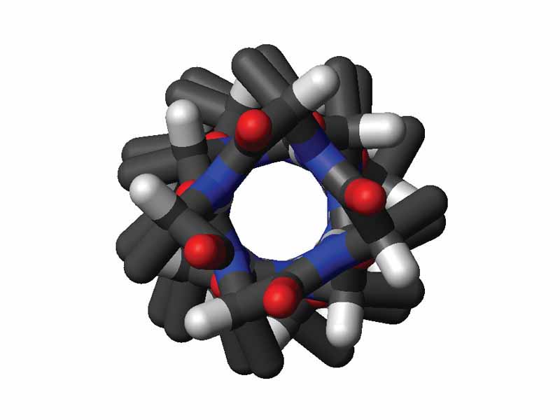 Top view of the same helix shown above. Four carbonyl groups are pointing upwards towards the viewer, spaced roughly 100° apart on the circle, corresponding to 3.6 amino-acid residues per turn of the helix.