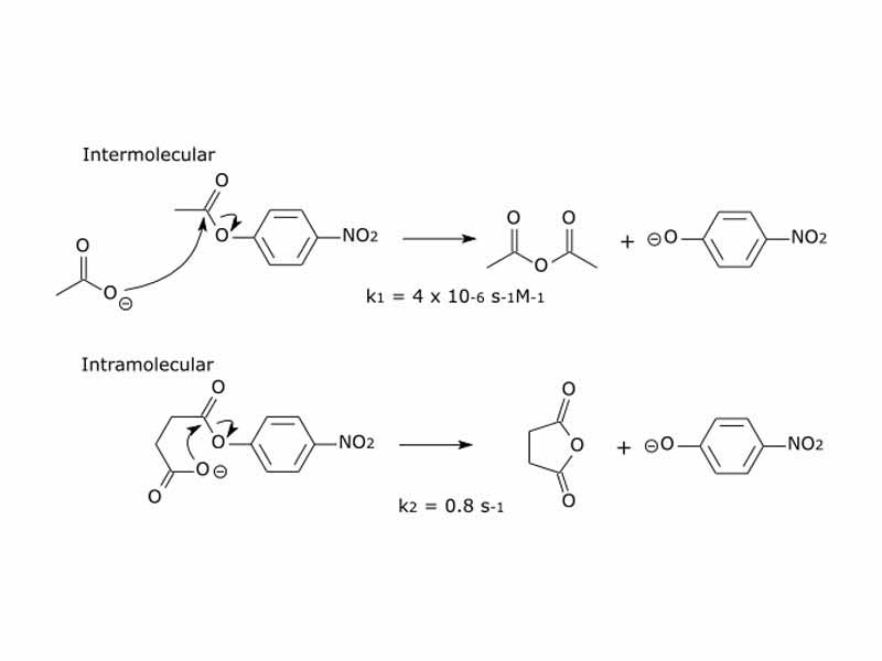 Similar reactions will occur far faster if the reaction is intramolecular. The effective concentration of acetate in the intramolecular reaction can be estimated as k2/k1 = 2 x 105 Molar.