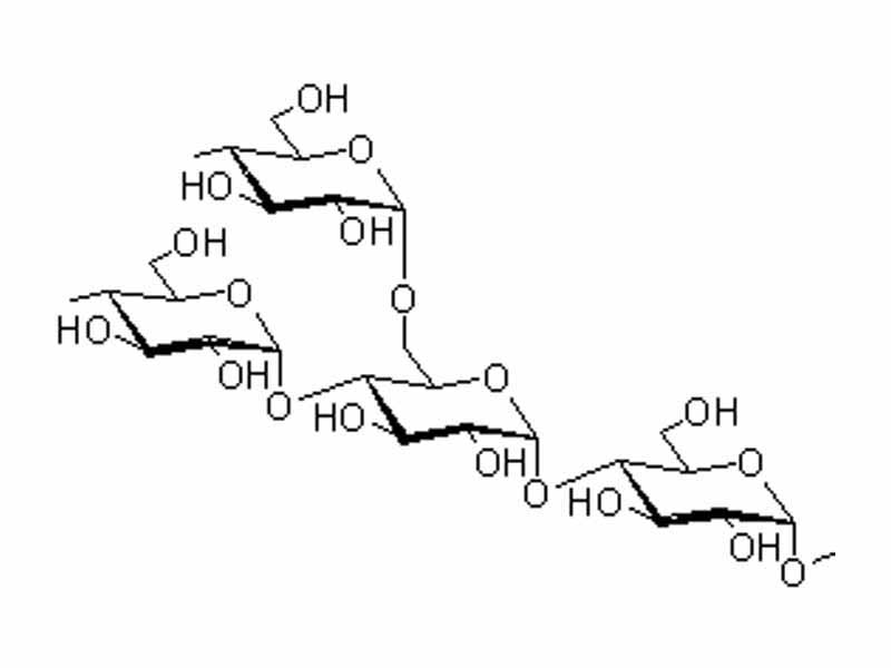 Structure of amylopectin