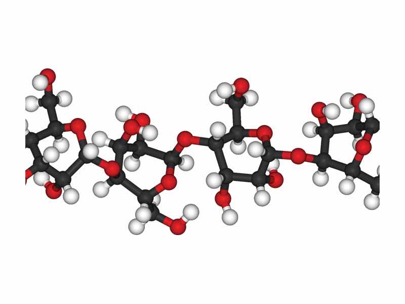 3-D Cellulose structure