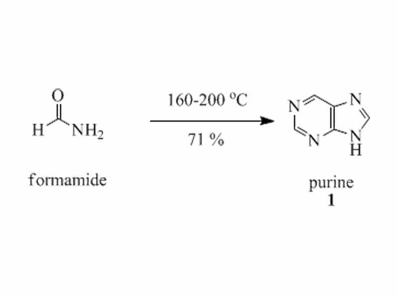 Purine is obtained in good yield when formamide is heated in an open vessel at 170 C for 28 hours.