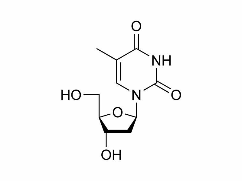 (Thymidine) Deoxythymidine chemical structure