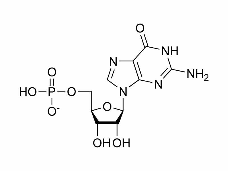 Guanosine monophosphate chemical structure