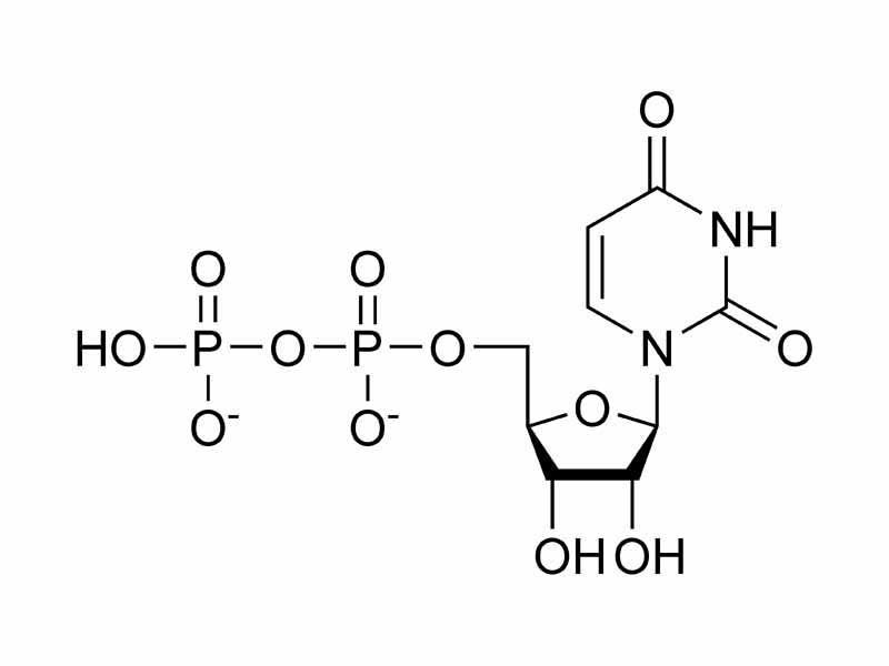 Uridine diphosphate chemical structure
