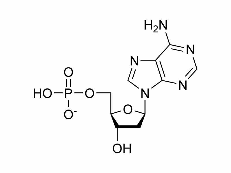 Deoxyadenosine monophosphate chemical structure