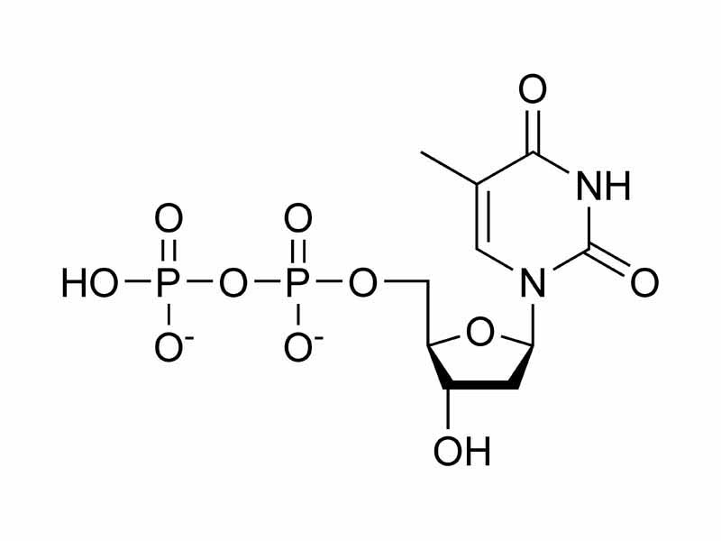 Thymidine diphosphate chemical structure