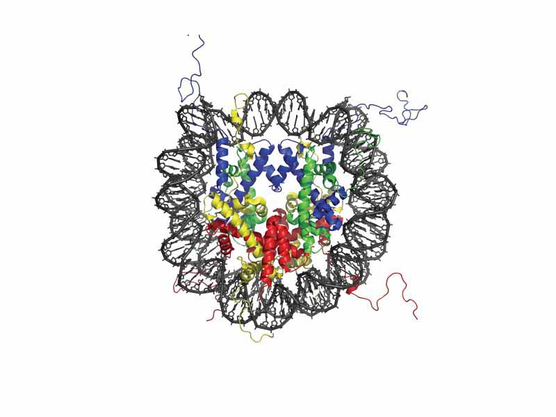 The crystal structure of the nucleosome core particle consisting of H2A , H2B , H3 and H4 .