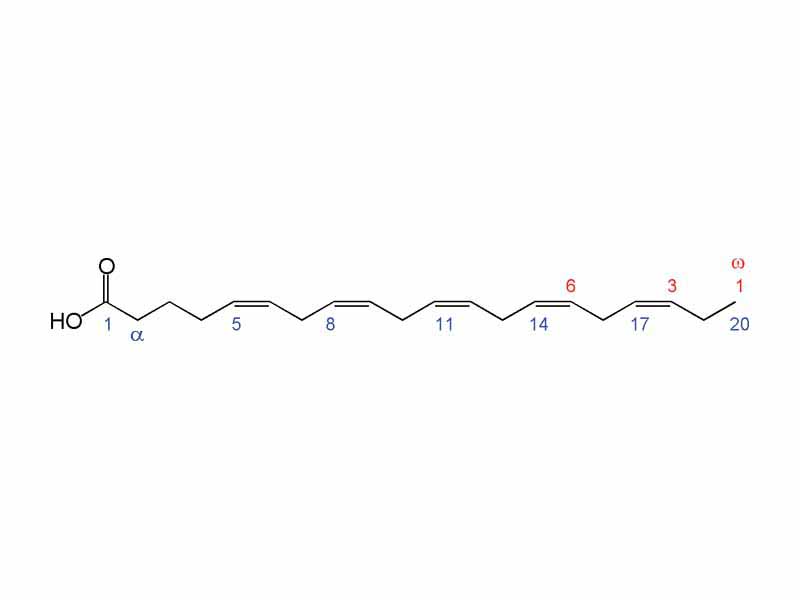 Eicosapentaenoic acid structure