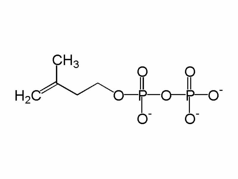 Chemical structure of isopentenyl diphosphate